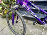 Schwinn Women’s Bicycle