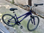 Schwinn Women’s Bicycle