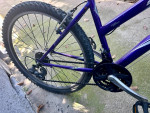 Schwinn Women’s Bicycle