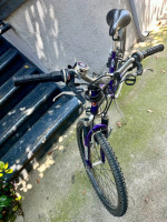 Schwinn Women’s Bicycle