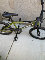 Redline Roam BMX Bike 20"