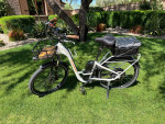 RAD CITY 3 ST Electric Bike