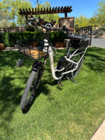 RAD CITY 3 ST Electric Bike