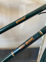 Free Spirit Greenbriar 10 speed cruiser