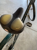 Free Spirit Greenbriar 10 speed cruiser