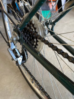 Free Spirit Greenbriar 10 speed cruiser