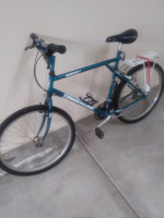 ORIGINAL OWNER 1990 GT TIMBERLINE