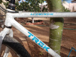 Trek Mountain Bike
