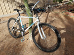 Trek Mountain Bike