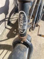 Schwinn