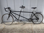 Burley Rumba Tandem