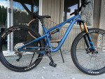 Pivot Trail 429-Medium