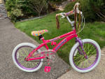 Sapphire Magna 20" Bike