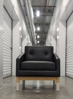 Accent Arm Chair Sofa Lounge Seat