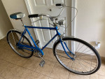 Schwinn Collegiate Bike