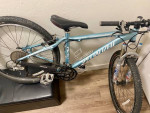 Specilized/Fox Forks Mountain Bike/Small/Super Light