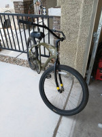 Beach Cruiser