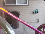 1966 Schwinn Collegiate