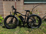 2 RadRover RAD Powerbikes Electric Bicycles