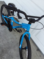 TREK PreCaliber 20in Blue, Age 6-11