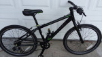 Trek FX 24in Kids Bike, age 7-12