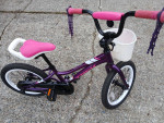 Trek Precaliber 16in Girls, Ages 3-5