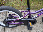 Trek Precaliber 16in Girls, Ages 3-5