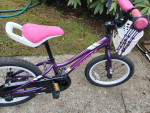 Trek Precaliber 16in Girls, Ages 3-5