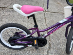 Trek Precaliber 16in Girls, Ages 3-5