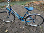 Vintage Schwinn Collegiate-Women's