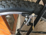 Steel Rig - Deore LX/XT