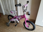 Specialized Kids Hotrock 12