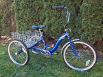 Torker Adult Tricycle 3 speed