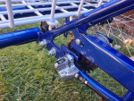 Torker Adult Tricycle 3 speed