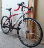 NOVARA PULSE ROAD BIKE 16SP 40CM