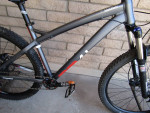 Diamondback Sync'R 29er with Disc Brakes