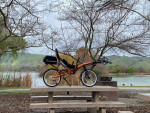 HP Velotechnik Grasshopper (non-folding)