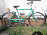 Murray 5 Speed Coast King