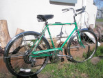 Murray 5 Speed Coast King