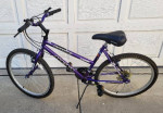 24 inch bike