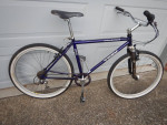17" Trek 950 Singletrack Mountain Town Bike 1X7