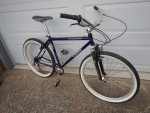 17" Trek 950 Singletrack Mountain Town Bike 1X7