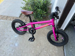 Cleary Gecko 12in Kids Bike