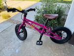 Cleary Gecko 12in Kids Bike