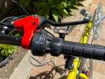 rans saturn Bike Campy Crank Hydraulic Brakes