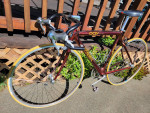 Trek 5500 OCLV carbon Series Bike