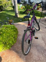 Bicycle - 2 available