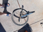 Schwinn unicycle