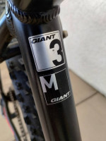 2018 Giant Talon 3