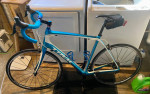 Trek Domane 4.3